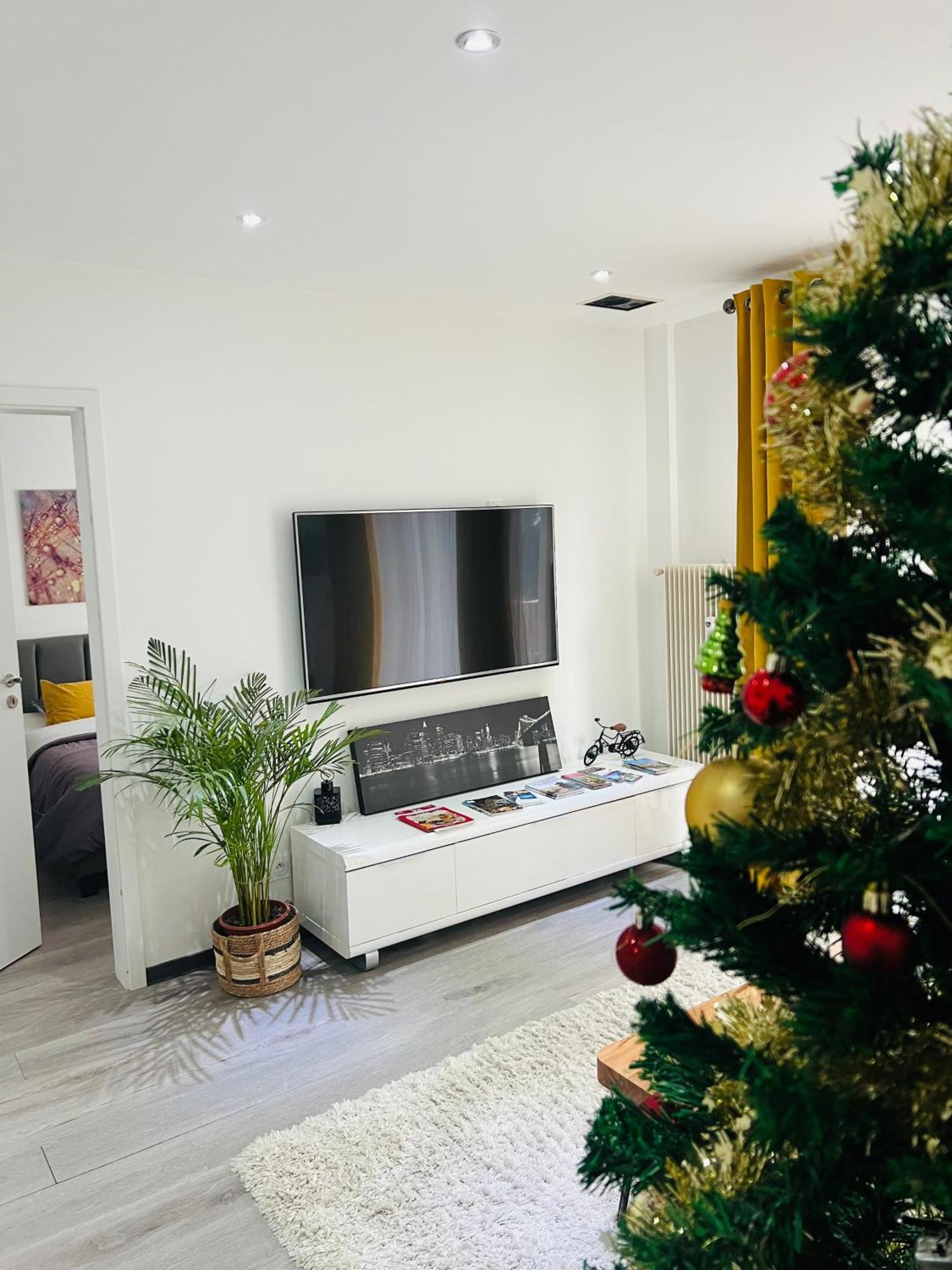 Superbe Appartement Lumineux Avec Parking Gratuit 빈첸하임 외부 사진